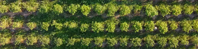 Vézénobres Drone 20