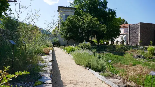 Jardin Ethnobotanique Maison Rouge ©maison Rouge Musée 1 Scaled