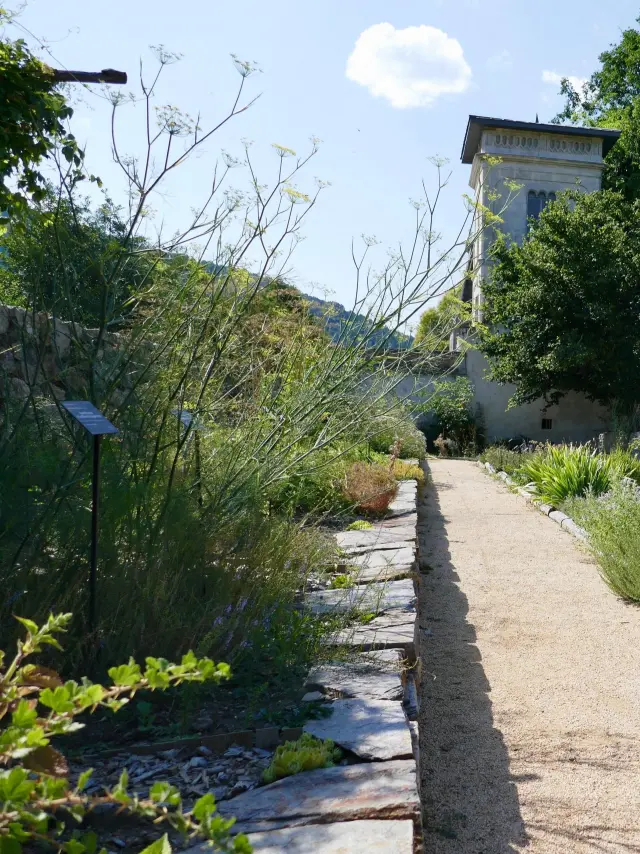 Jardin Ethnobotanique Maison Rouge ©maison Rouge Musée 1 Scaled