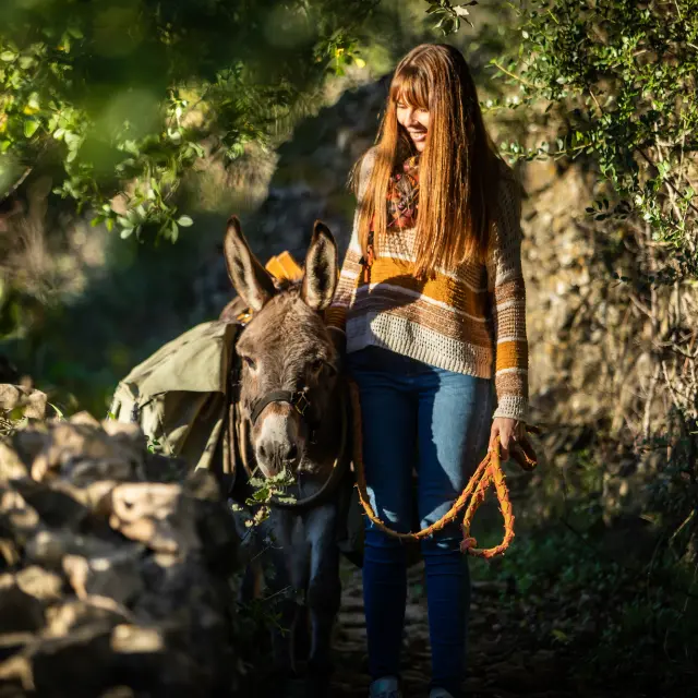 Wandelen met een ezel