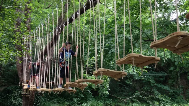 Bois Des Plumes, Saint Jean du Gard