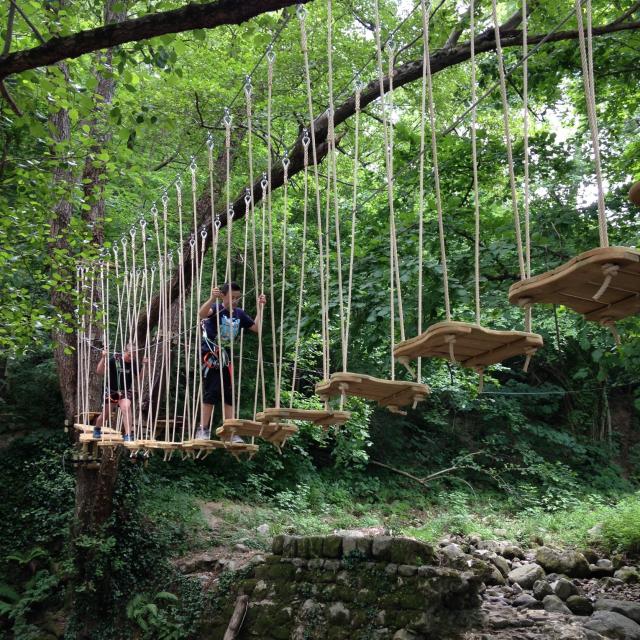 Bois Des Plumes, Saint Jean du Gard