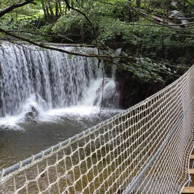 Bois Des Plumes, Saint Jean du Gard