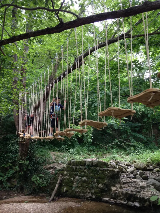Bois Des Plumes, Saint Jean du Gard