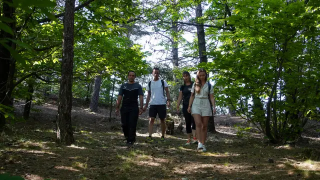 Gr67 Tour Du Pays Cévenol Randonnée En Cévennes