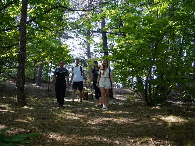 Gr67 Tour Du Pays Cévenol Randonnée En Cévennes