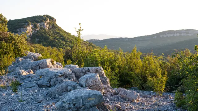 Garrigue of Gard
