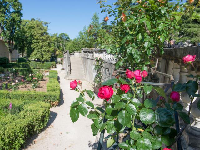 Le Parc Du Bosquet