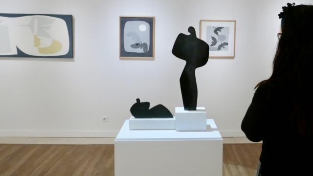 Pab Museum