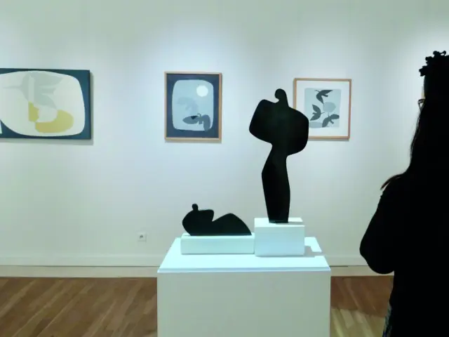 Musée Pierre André Benoit