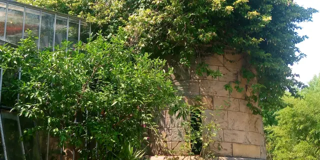 Old Tower Park - Old Tower