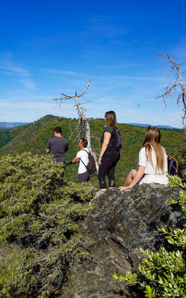 Wandelen in de Cevennen op de Col Saint Pierre