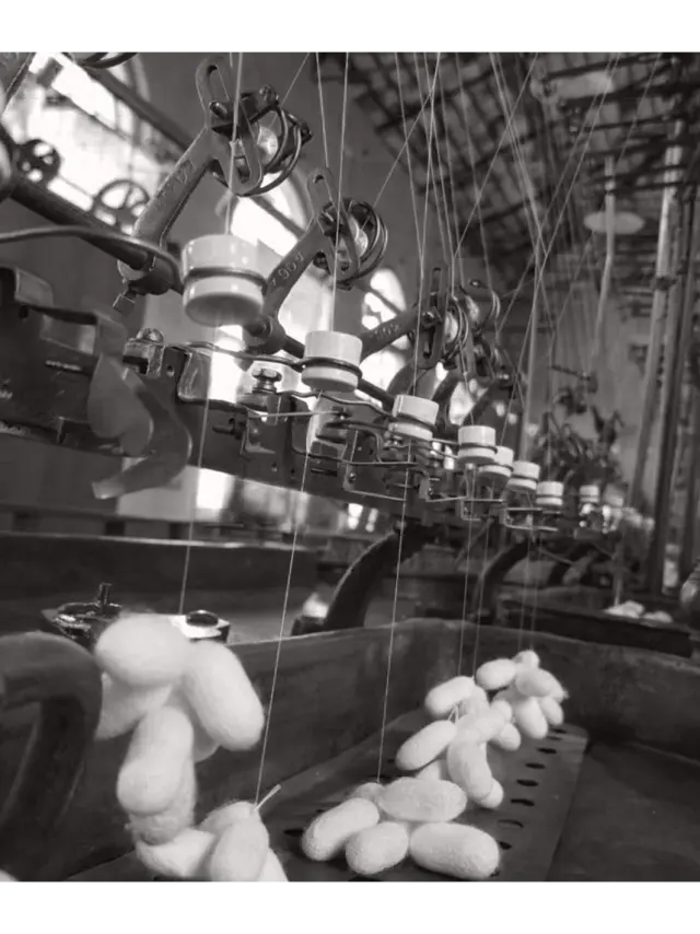 Ancienne filature de Maison Rouge