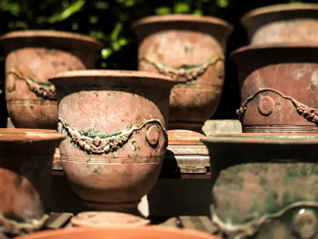 Vase D'anduze Ampholia 2014 Photo Benjamin Celier