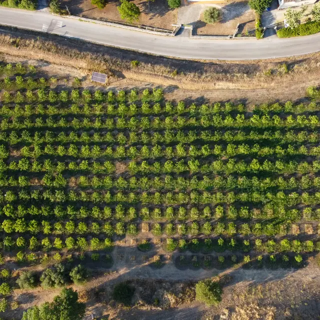 Vézénobres Drone 65