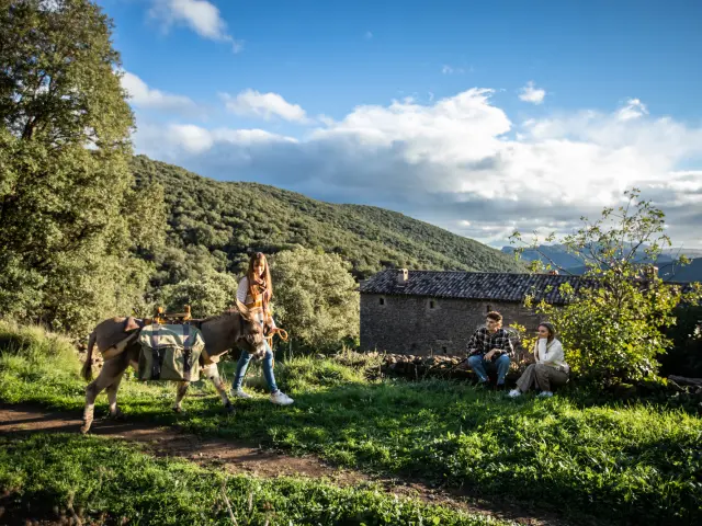 Wandeling met ezelslandschap
