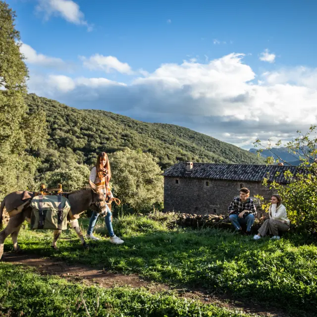 Balade Avec Ane paysage