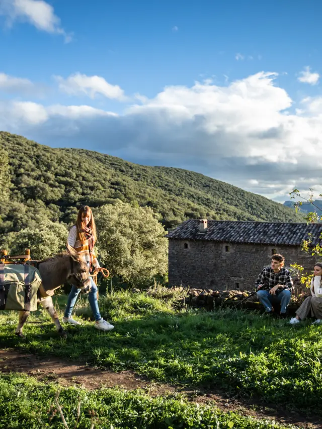 Balade Avec Ane Luziers Novembre 2022 Bd Olivier Octobre 21
