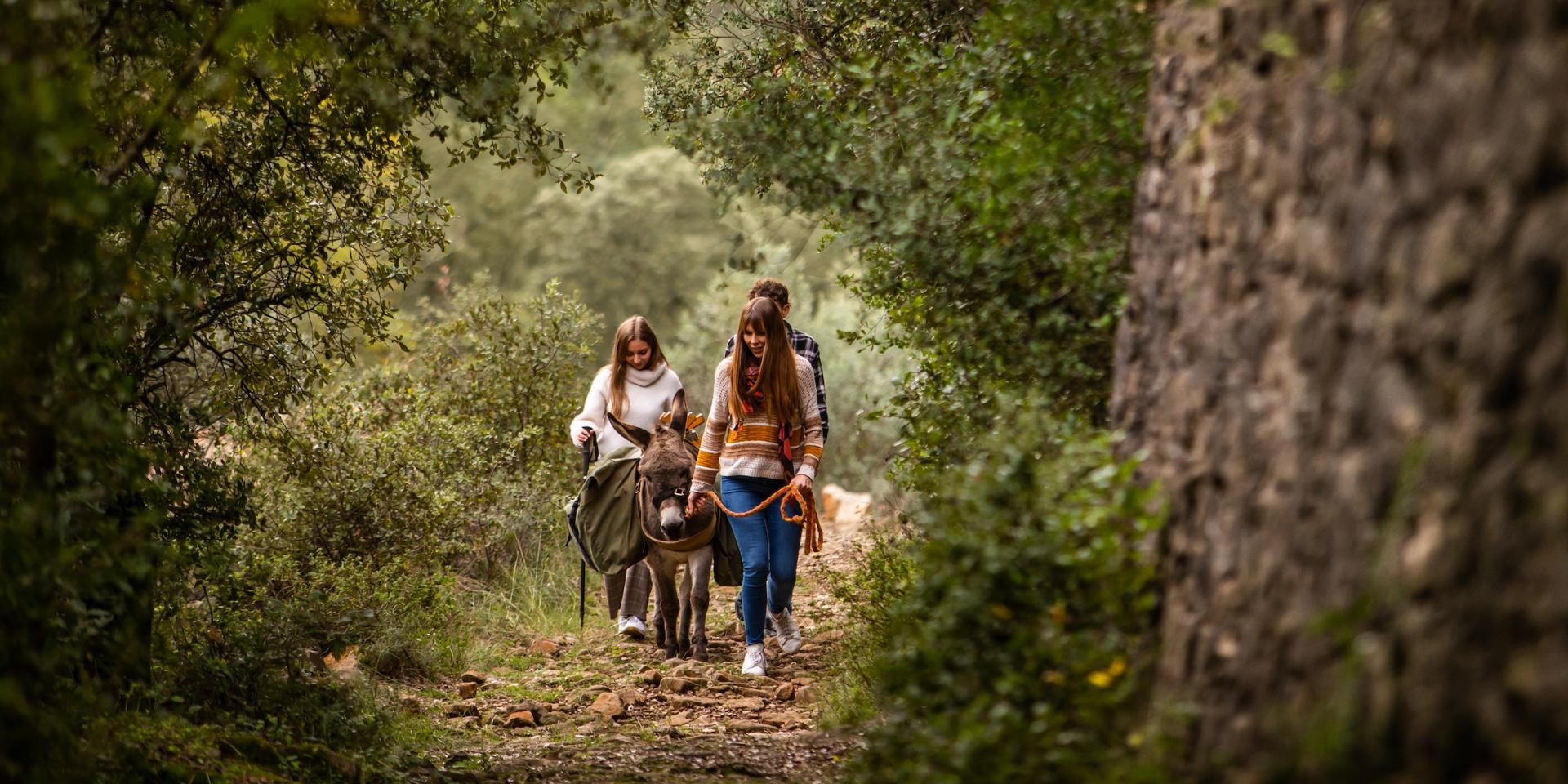 Stevenson's path | Cévennes Tourism