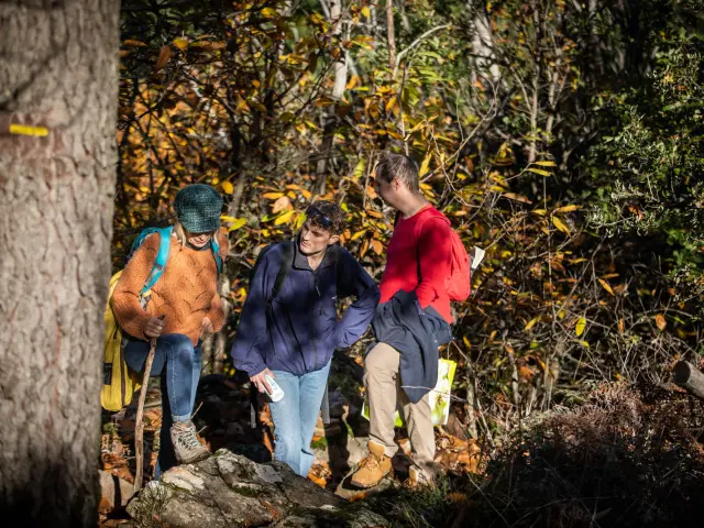 Dolmens La Grande Palliere November 2022