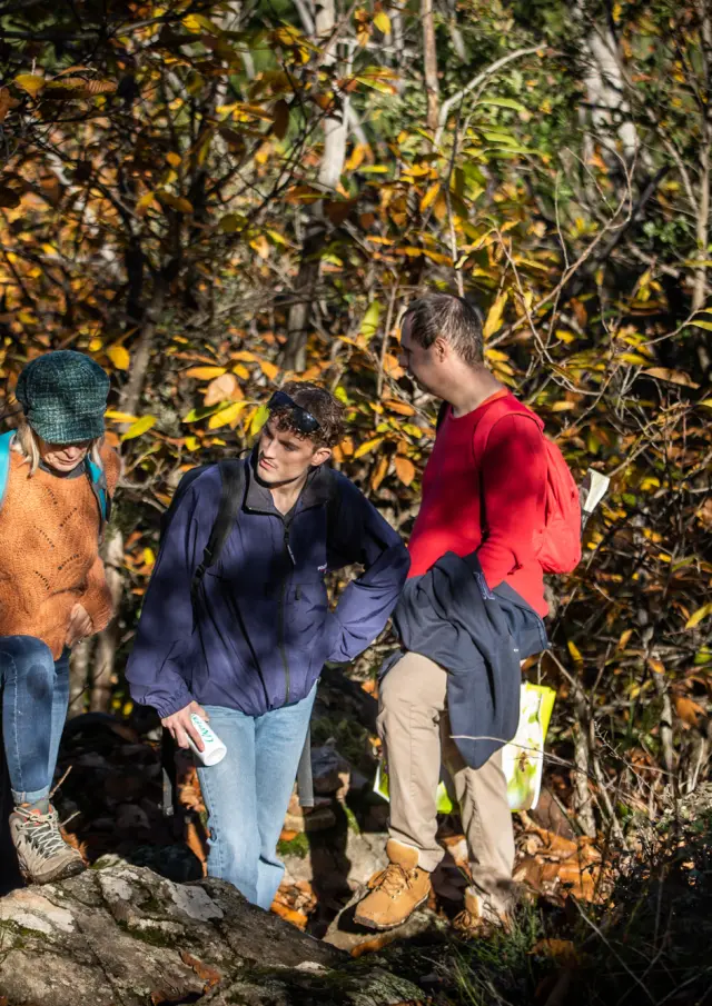 Dolmens La Grande Palliere Novembre 2022