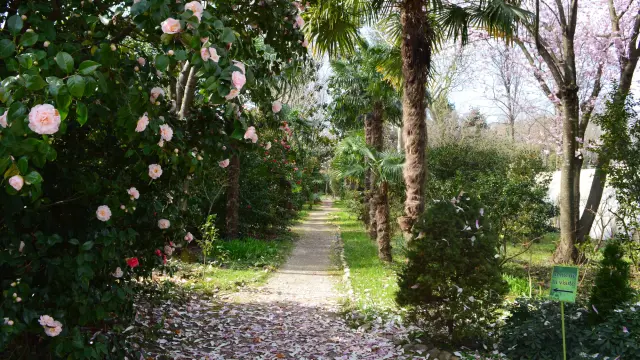 Floral Park Les Camellias