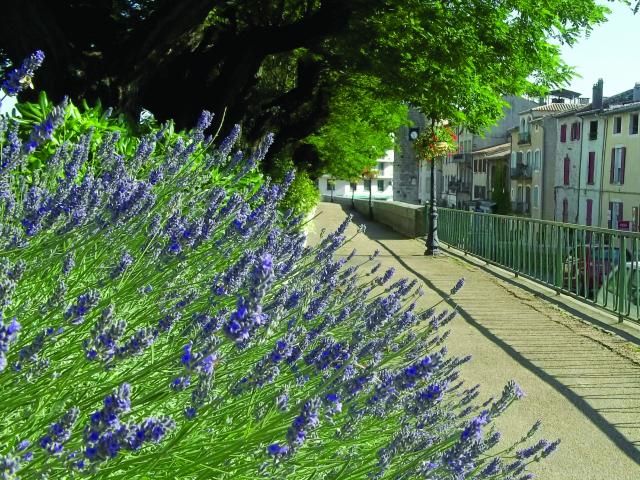 Quai Anduze