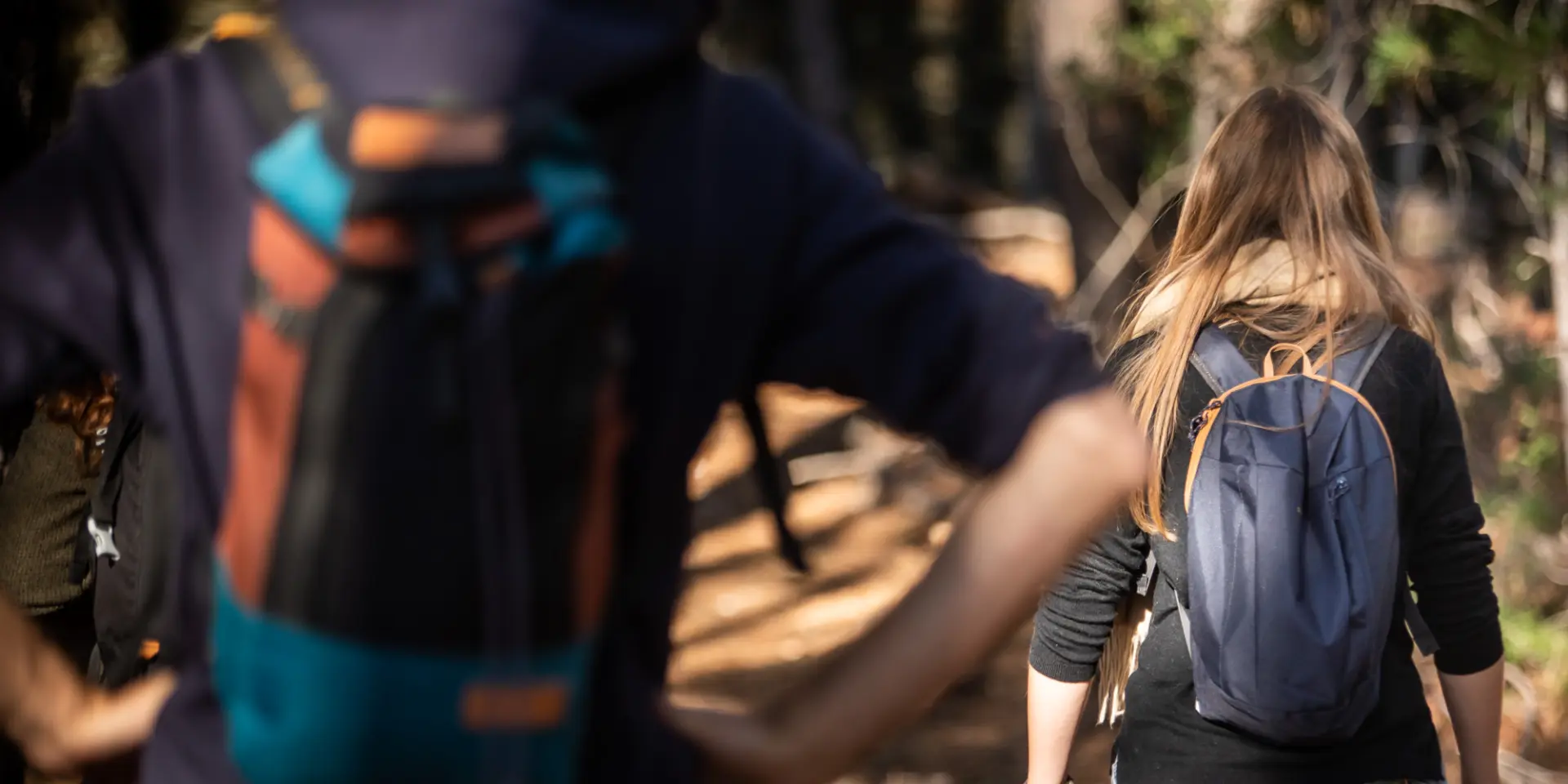 Tarabias November 2022