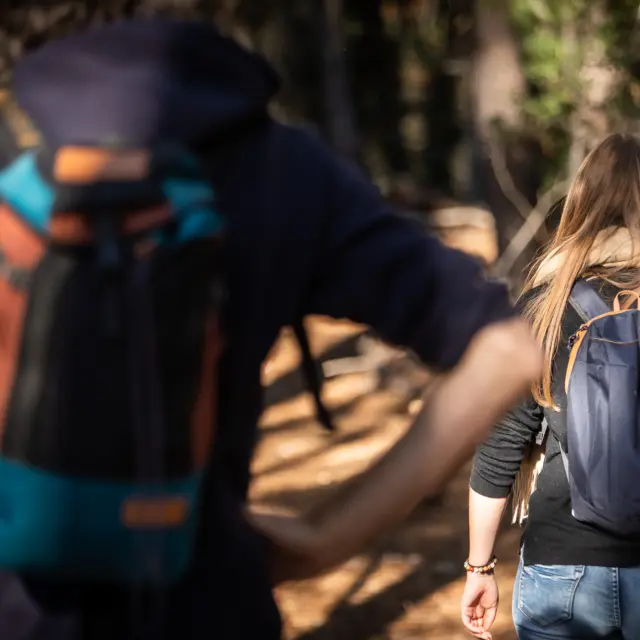 Tarabias Novembre 2022