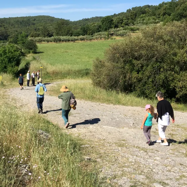 Rando St Florent Sur L Auzonnet