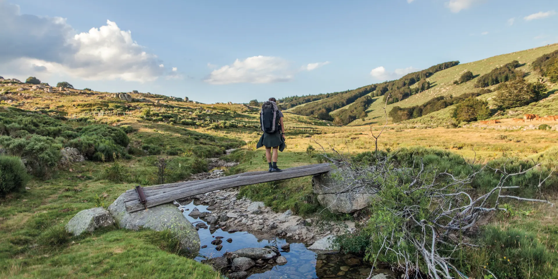 Mont Lozère © Romain Capelle