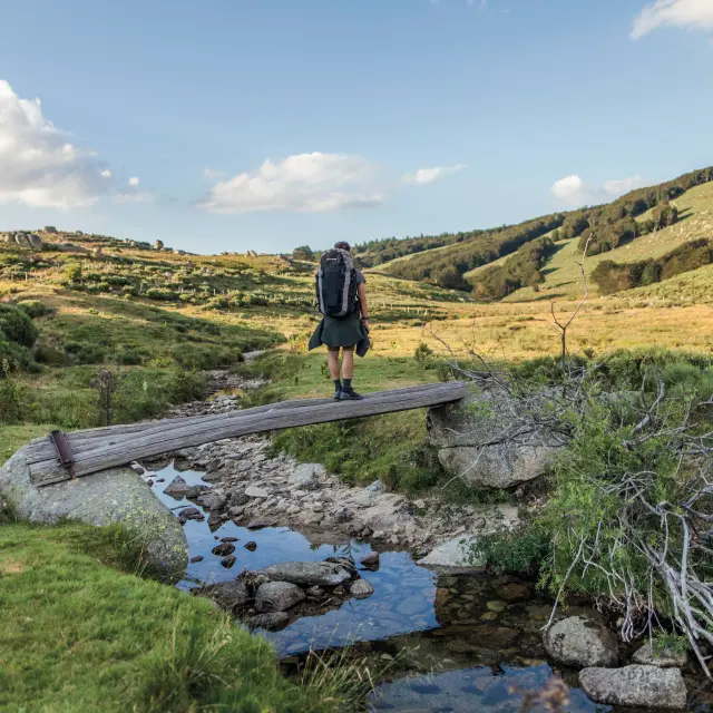 30x50 Romain Capelle