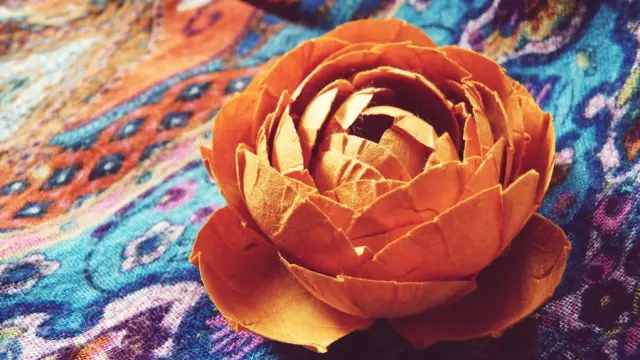 Art Et Papier Cornu Diane