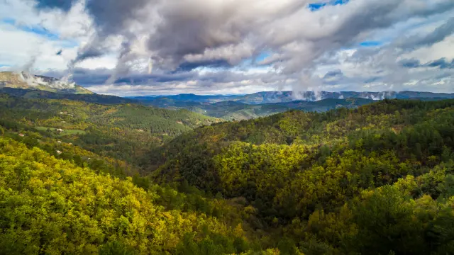 Parc national des Cévennes PNC