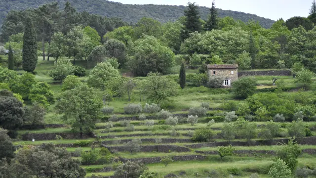 Faïsses 07.jpg Mialet © Philippe Nicolas