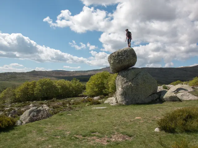 Typische landschappen Mont-Lozère