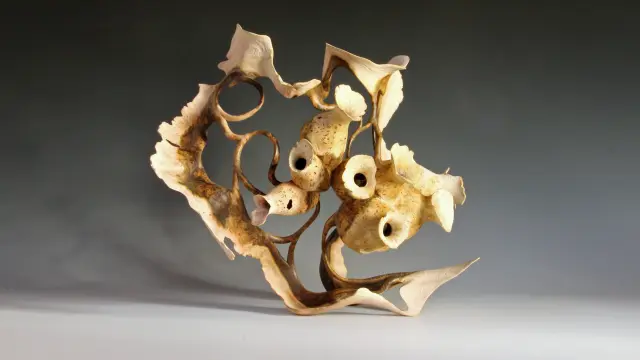 Jema Corail Mélodie 1