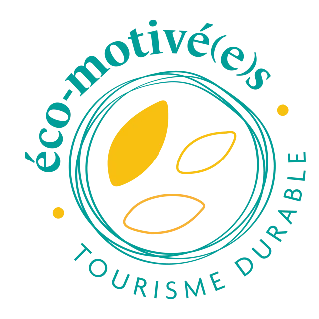 Level 1 Eco Motivated Color