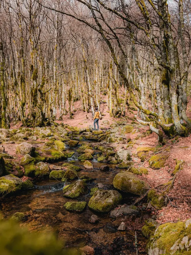 Randonnee aux cascades d'Orgon, Vallee du Coudoulous sur les flancs du Mont Aigoual