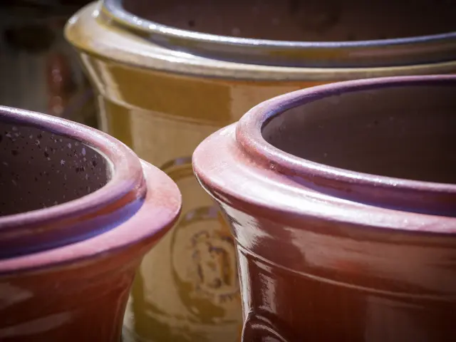 Terres Figuilere 2014 Hq Photo Benjamin Celier 2014 126