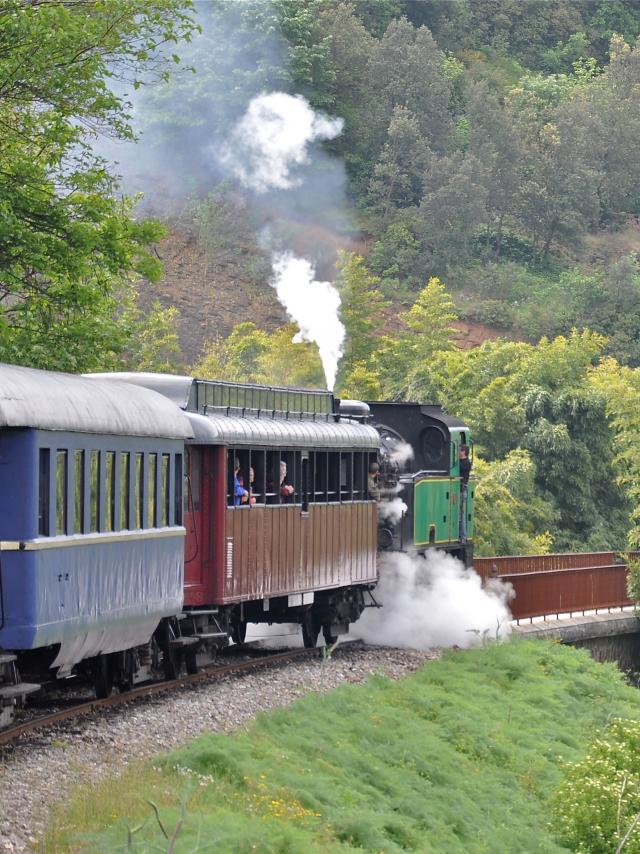 Train à Vapeur Des Cévennes 11.jpg © Bernadette Price (2) (1)