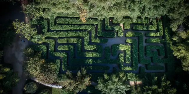 Anduze Bambouseraie November 2022 Bd Olivier October 2