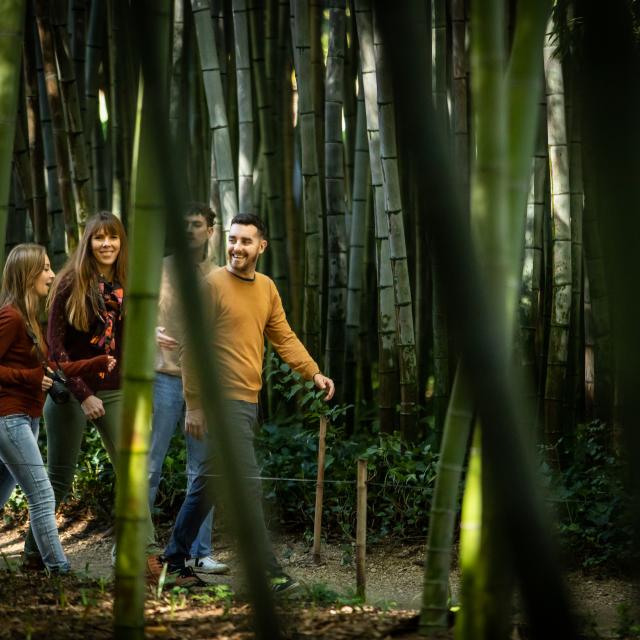 Anduze Bamboo Grove november 2022