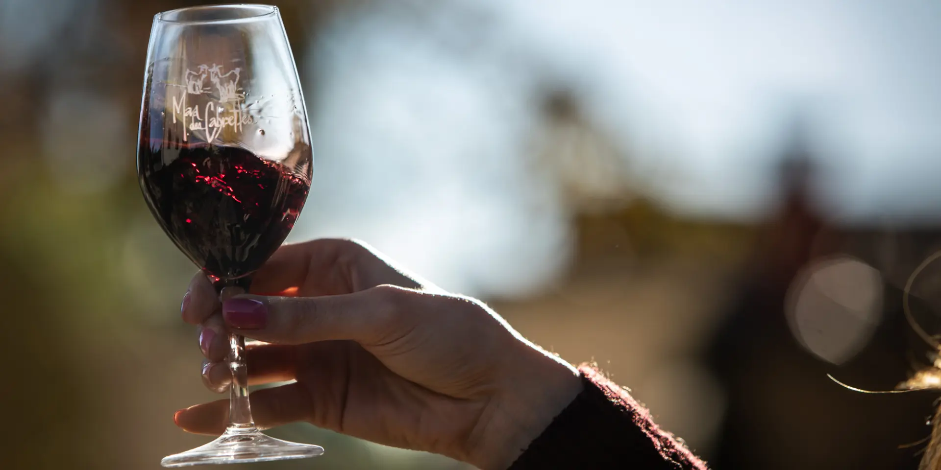 Wine tasting Mas Des Cabrettes November 2022 Bd Olivier October 29