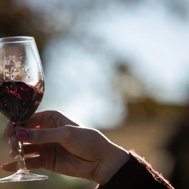 Wine tasting Mas Des Cabrettes November 2022 Bd Olivier October 29