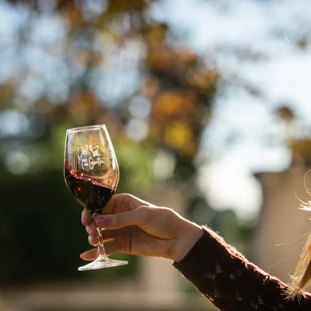 Wine tasting Mas Des Cabrettes November 2022 Bd Olivier October 30