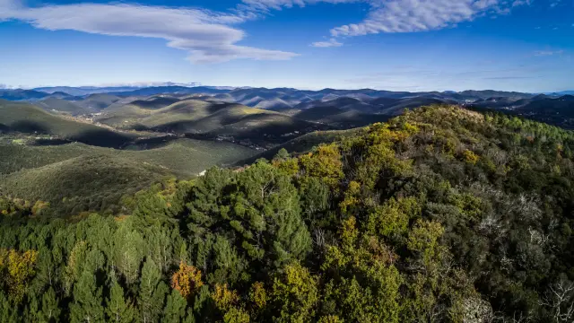 Dolmens La Grande Palliere Novembre 2022 Bd Olivier Octobre 12