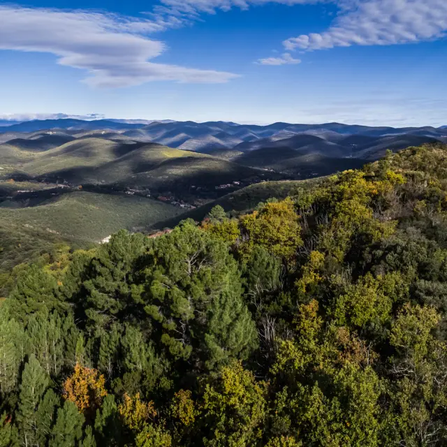 Dolmens La Grande Palliere November 2022 Bd Olivier October 12