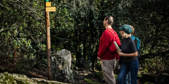 Dolmens La Grande Palliere november 2022 Bd Olivier 6 oktober