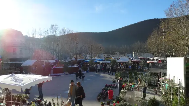 La Grand-Combe markt